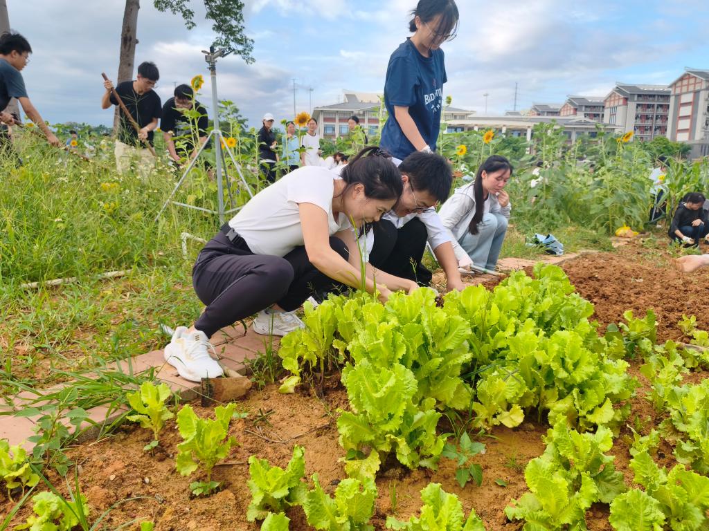 必威西汉姆联官网