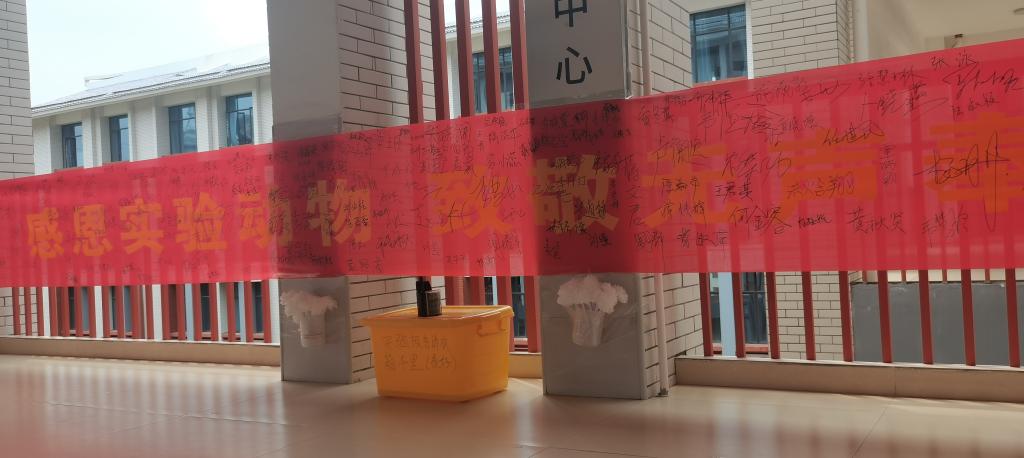 必威西汉姆联官网