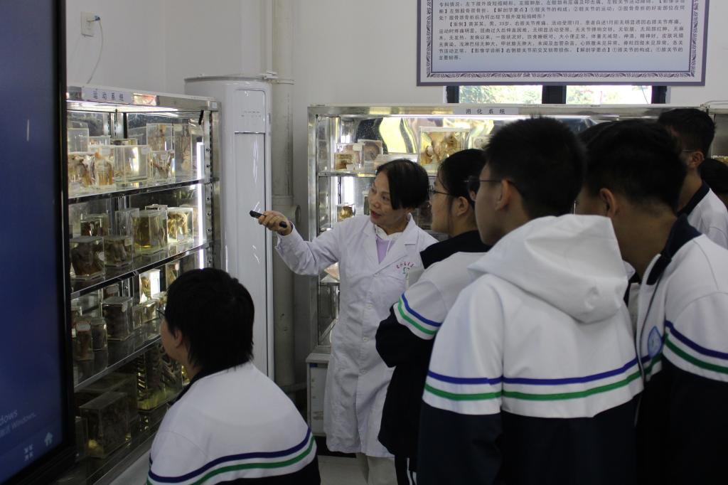 必威西汉姆联官网